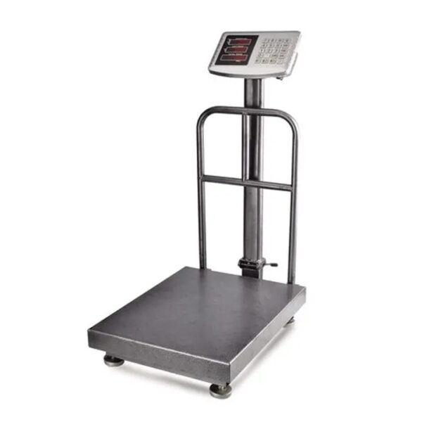 300Kg Platform Scale Big Base with guards