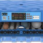 Eggs Incubator