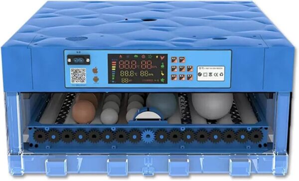 Eggs Incubator