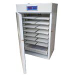 Eggs Incubator