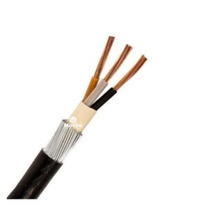 10.0mm 3-Core Armoured Cable (Per Meter) – West ⚡🔌