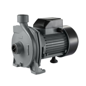 1hp 0.75Kw CPM158 Centrifugal Electric Booster Water Pump Astramilano