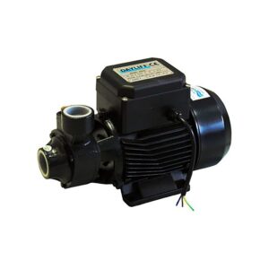 1hp 0.75Kw Dayliff DDP 65 High Quality Electric Booster Water Pump