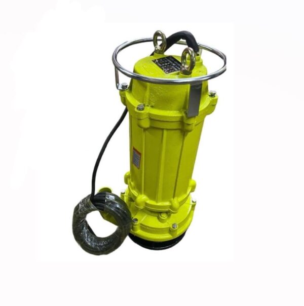 5.5hp 70m Sewage Mining Water Pump Premier 4Kw 2inches QX10-70-4 10m³/h Electric Submersible