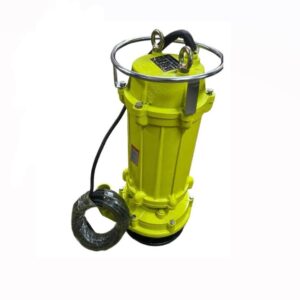 7.5hp 90m Sewage Mining Water Pump Premier 5.5Kw 2inches QX10-90-5.5 10m³/h Electric Submersible