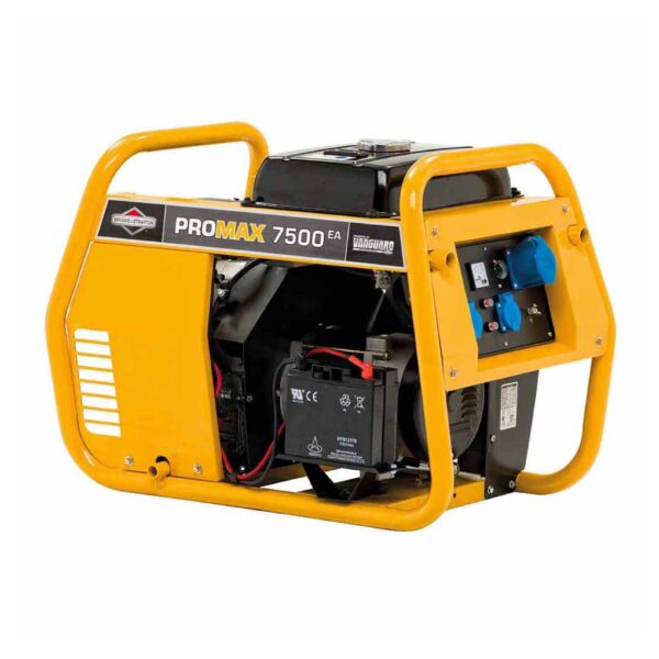 Portable Petrol Generator ProMax 7500 EA 7.5KVA
