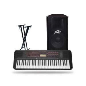 Yamaha PSR-E273 Portable Keyboard Piano with DF005 Stand & Peavey PV 115 2-Way 15" Passive Speaker-Church Kit
